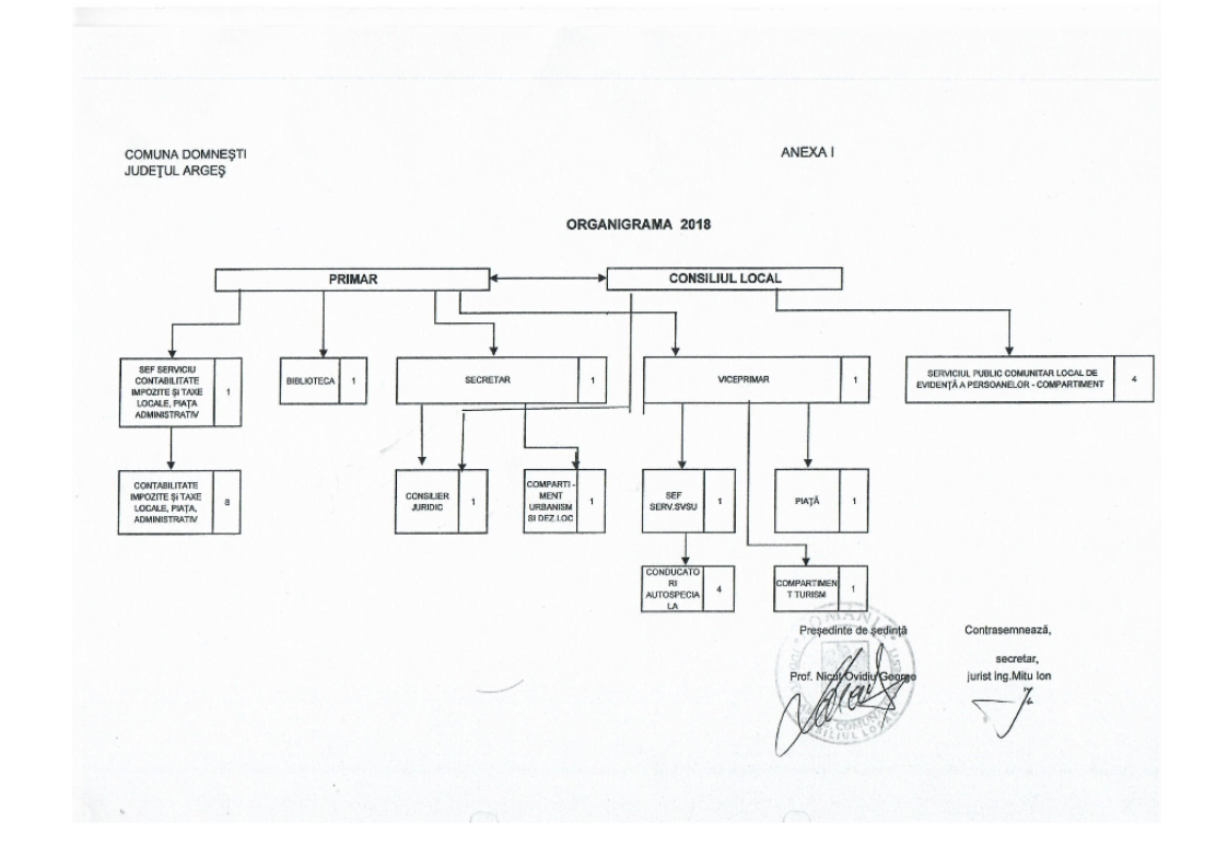 organigrama